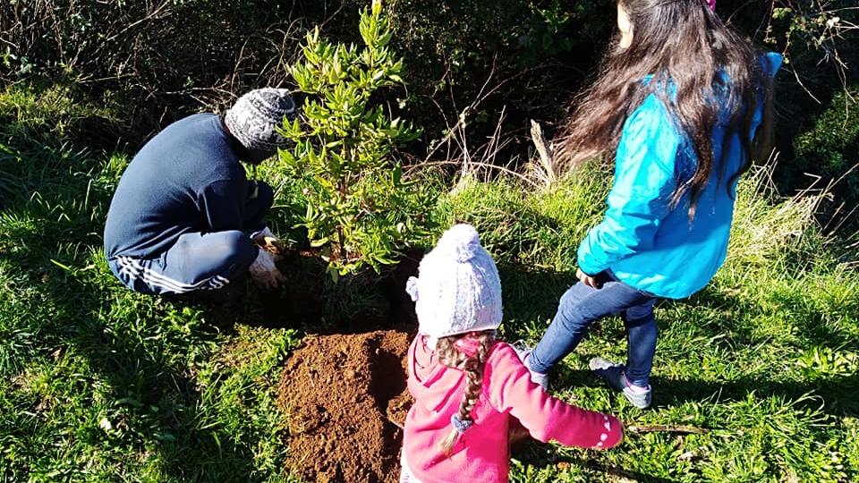 Voluntarios en jornada de plantación