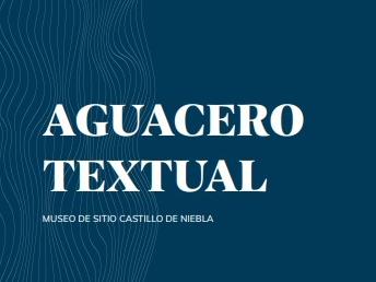 Descarga la revista Aguacero textual 3