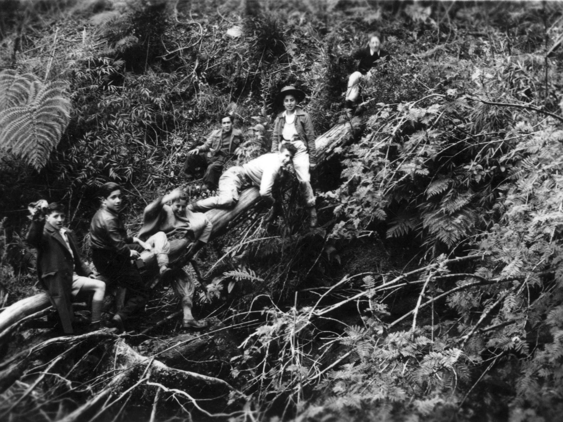 Niños jugando sobre tronco en Playa Los Molinos. Archivo Fotográfico Instituto Salesiano Valdivia. 