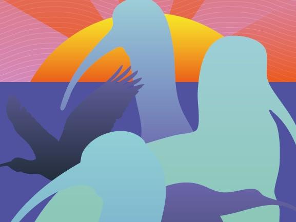 Pasaporte ruta de Museos de Valdivia