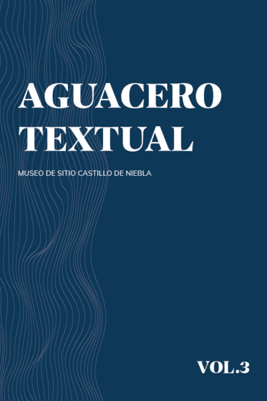 Aguacero Textual