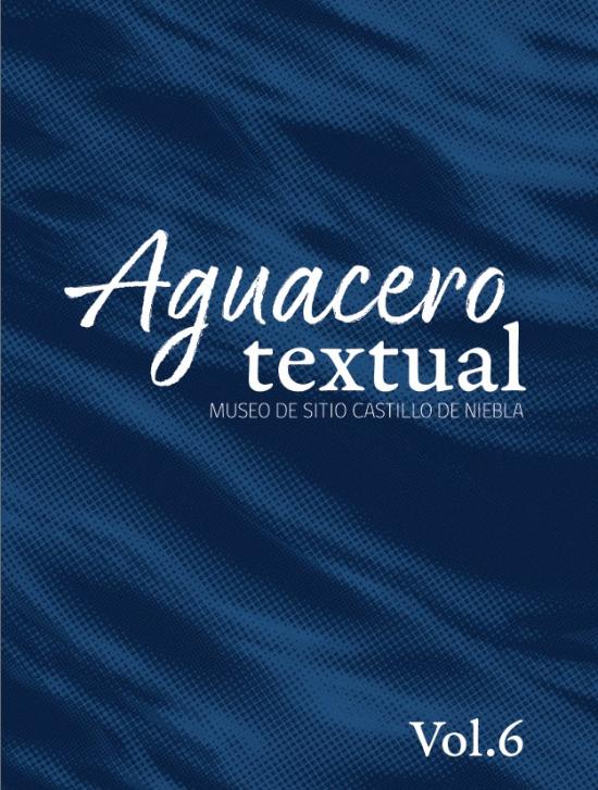 Aguacero Textual 