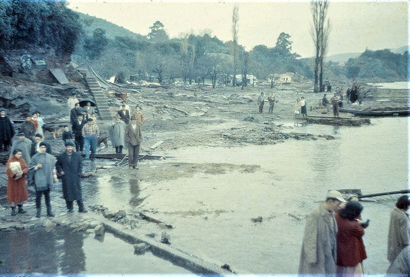 Mi ciudad cedió ante la muerte, sus casas y sus bosques, su industria y sus puentes...