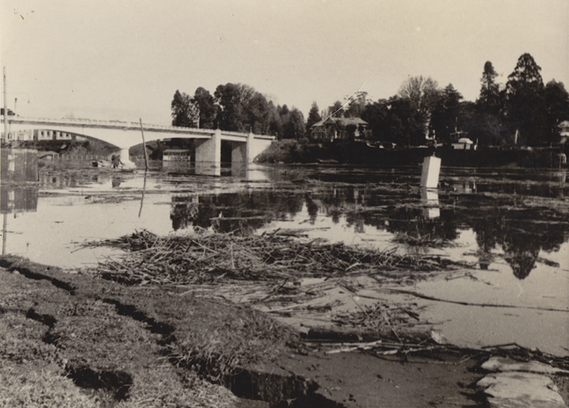 En la zona de Valdivia el terremoto produjo un hundimiento tectónico de más de 1.5 m.