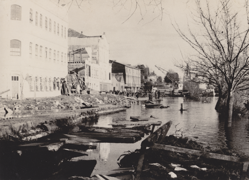 ¿Cuál es el origen del desastre, la ignorancia o la falta de prevención?