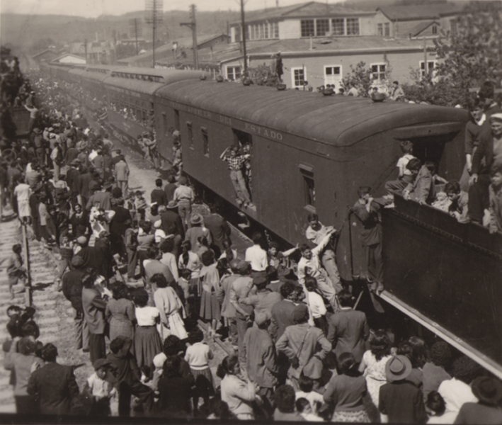¡Volvió el tren a Valdivia!
