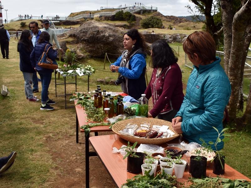 Guardianas de semillas