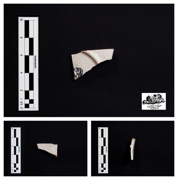 Sello de Anthony Shaw